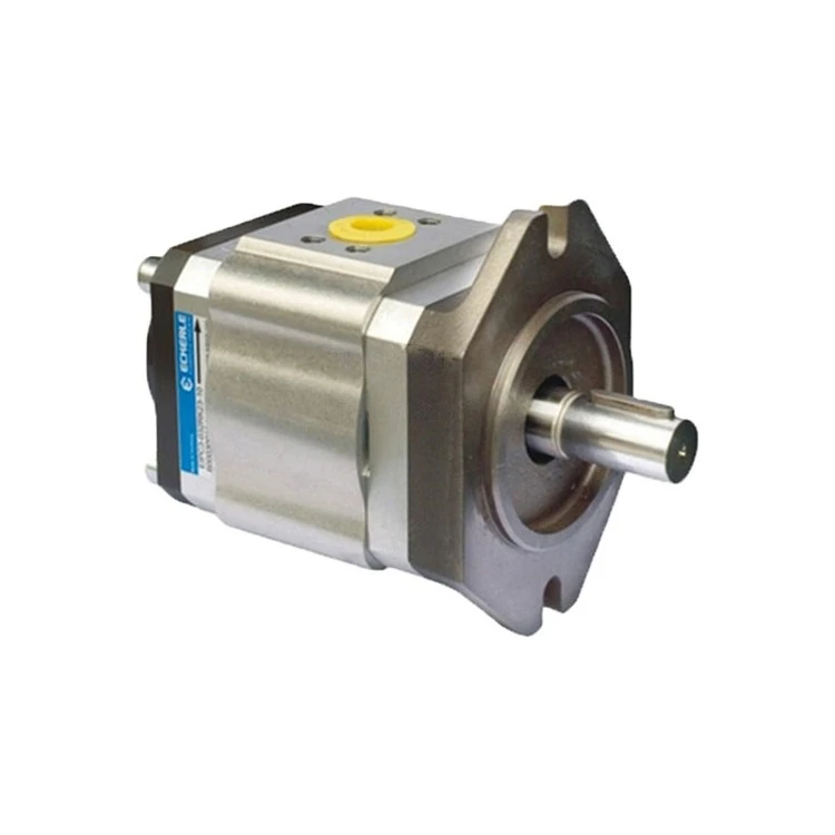 ECKERLE Servo Gear Pump EIPC6-125RA23-11 EIP EIPC EIPC6 Series Motor Pump High Pressure Oil Pump