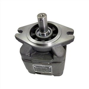 HG HG0 HG1 HG2 Series Hydraulic Internal Gear Single Stage Pump HG1-32-01R-VPC-36 HG1-32