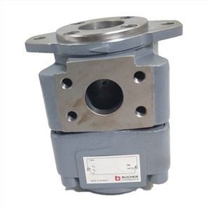 ZHENYUAN QXM42-025L108 QXM QXM42 QXM23 QXM24 QXM31 QXM32 QXM33 Series Internal Meshing Hydraulic Gear Pump