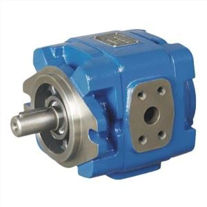 SUNNY High Quality HG1 32 01R PVC HG1-32-01R-PVC Oil Pump Internal Gear Pump