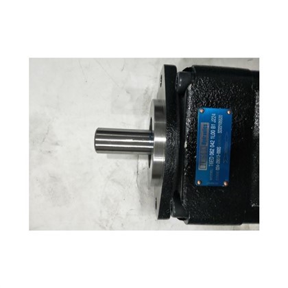Parker Denison T6EE-062-052-2L14-A13-M0 T6CC-022-017-3L03-C10M Hydraulic Piston Pump T6E0721R01A1 T6ED062-042-1L00B1J224