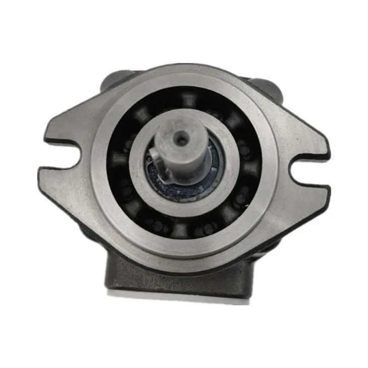 HG HG0 HG1 HG2 Series Hydraulic Internal Gear Single Stage Pump HG1-32-01R-VPC-36 HG1-32 best